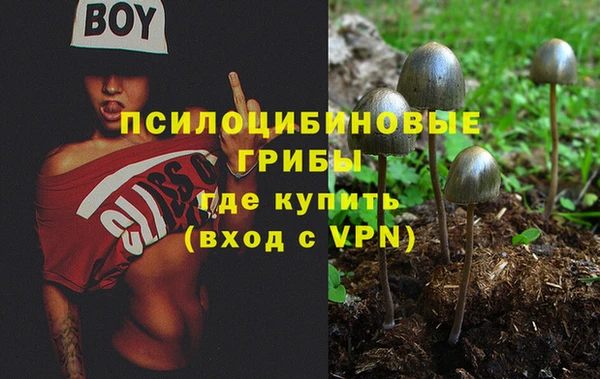 2c-b Вязники