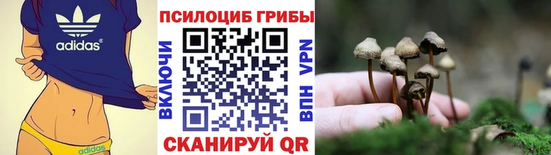 Псилоцибиновые грибы Magic Shrooms  как найти закладки  Сургут 