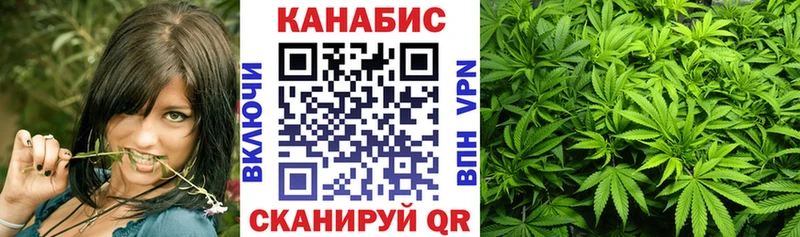 kraken зеркало  Сургут  Бошки Шишки индика  где купить наркоту 